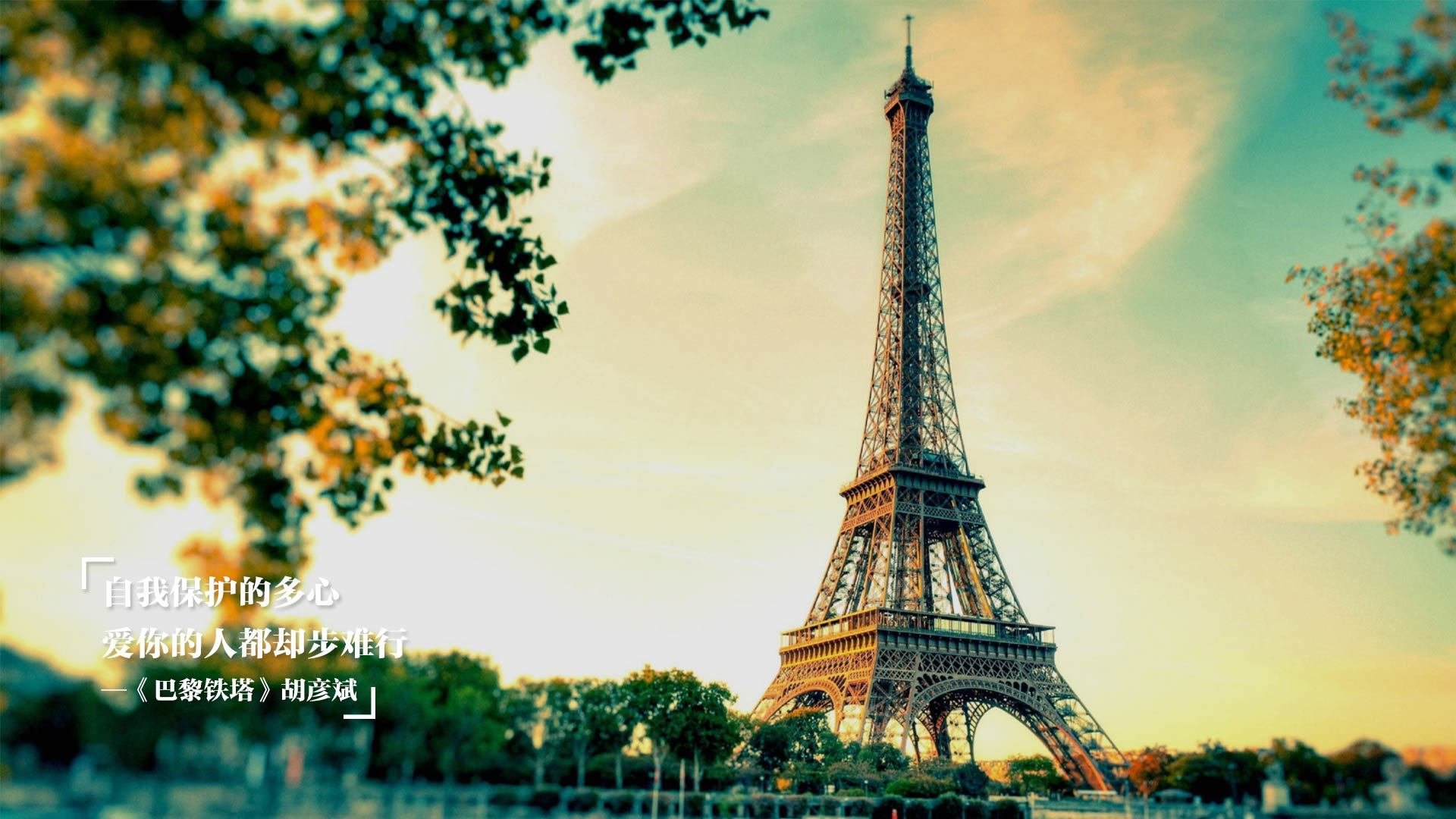 CBA球队注重青年球员培养 打造未来之星，cba未来规划