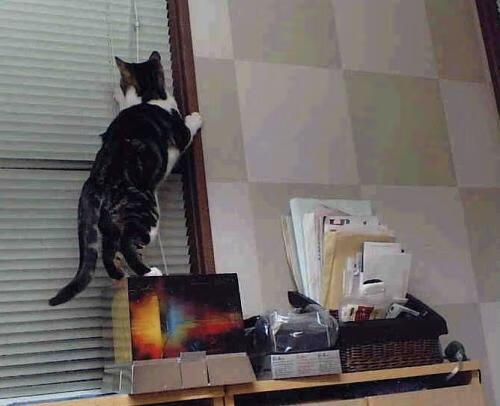 “选手奋力拼搏，武汉马拉松冲刺阶段见证奇迹”