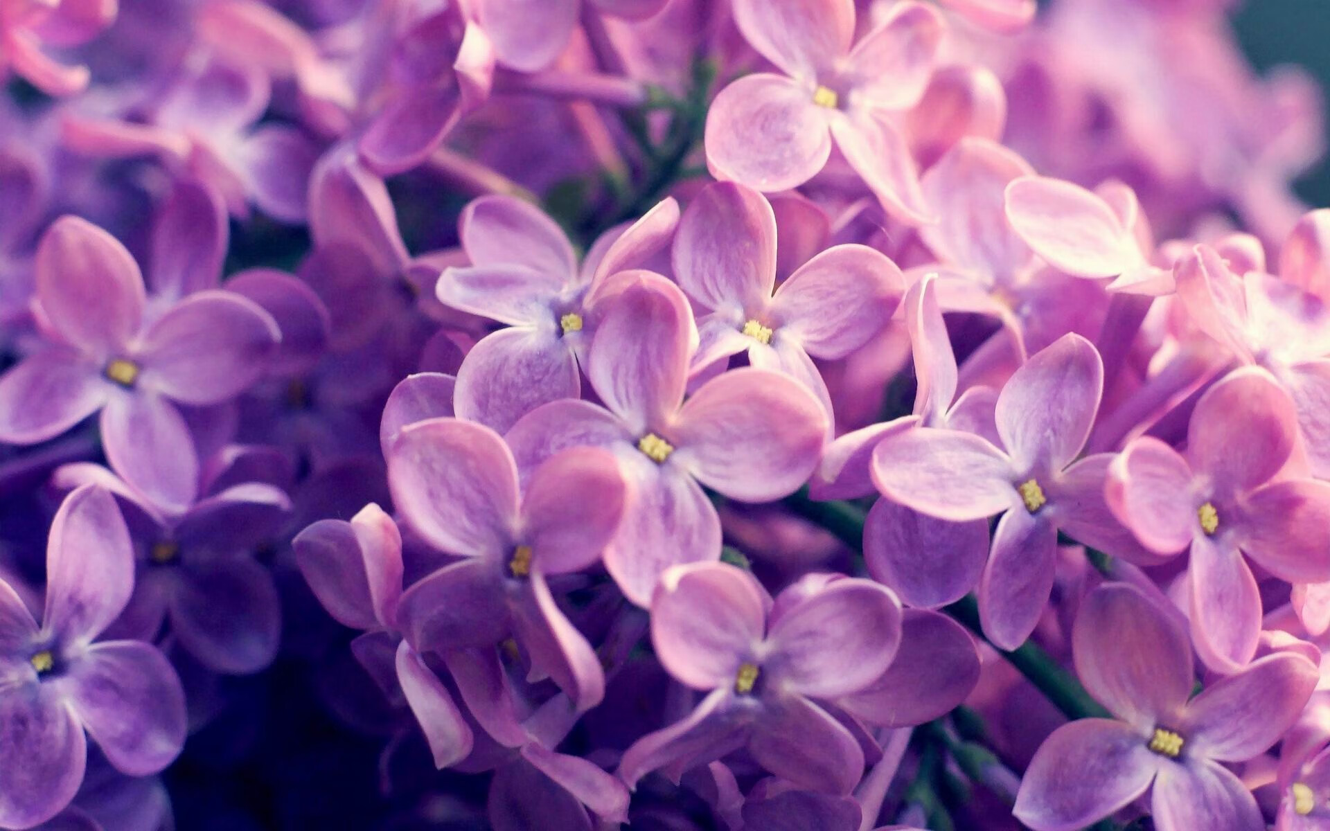 九游娱乐下载-中国女篮通过模拟实战增强临场反应力，中国女篮真棒