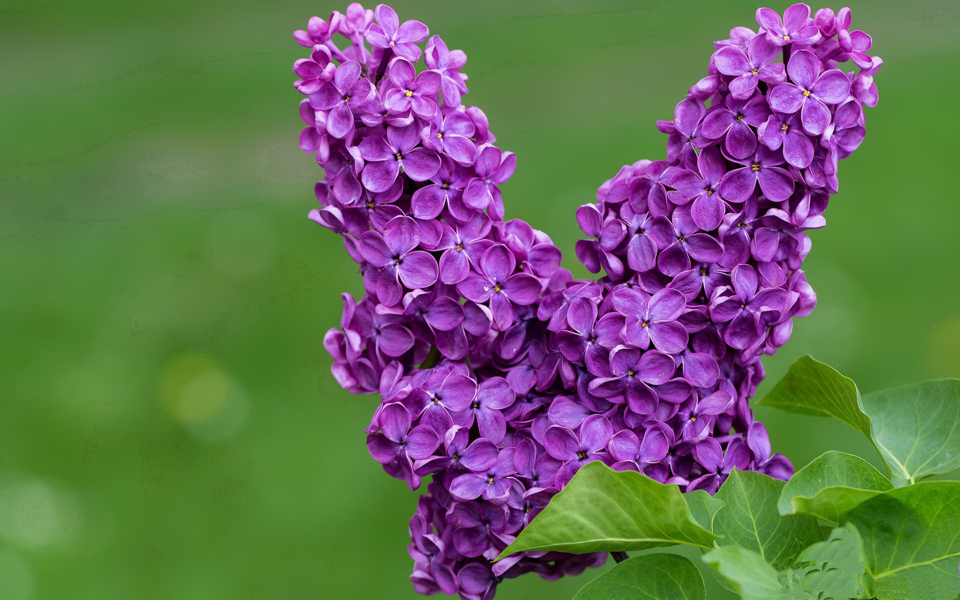 九游网页官网-中国香港队赛制解析：如何通过灵活战术应对不同类型的团体赛，香港队再添一枚金牌