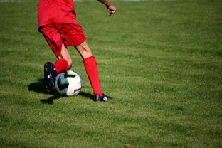 九游官网入口注册-体育新闻中心发布体育短视频内容运营新策略，体育短视频存在的问题