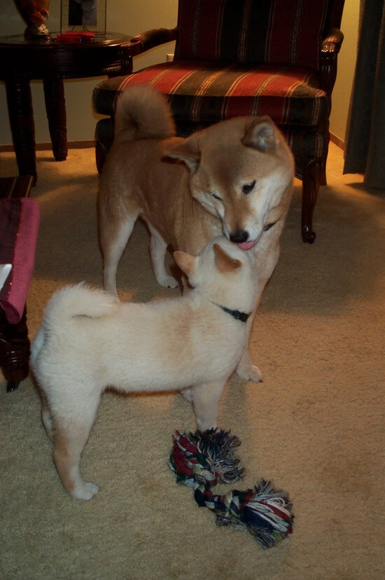 基层足球场地资源紧张,足球场地设施不足