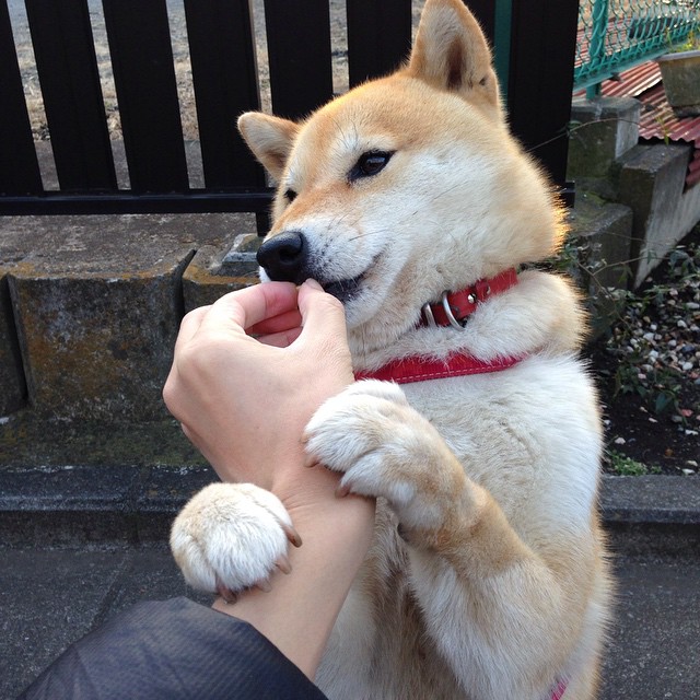 九游官网入口下载-利物浦欧冠赛场逐步推进，目标冠军