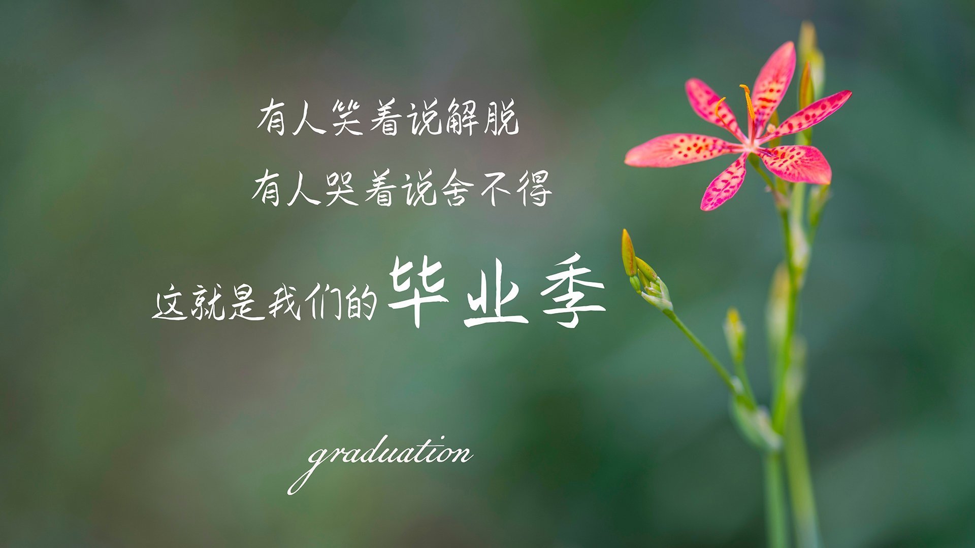 塞内加尔男篮在非洲锦标赛中奋战，争夺冠军宝座，塞内加尔在非洲算什么水平